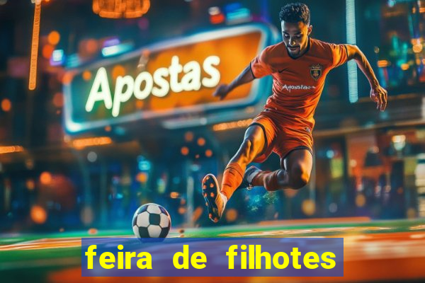 feira de filhotes porto alegre